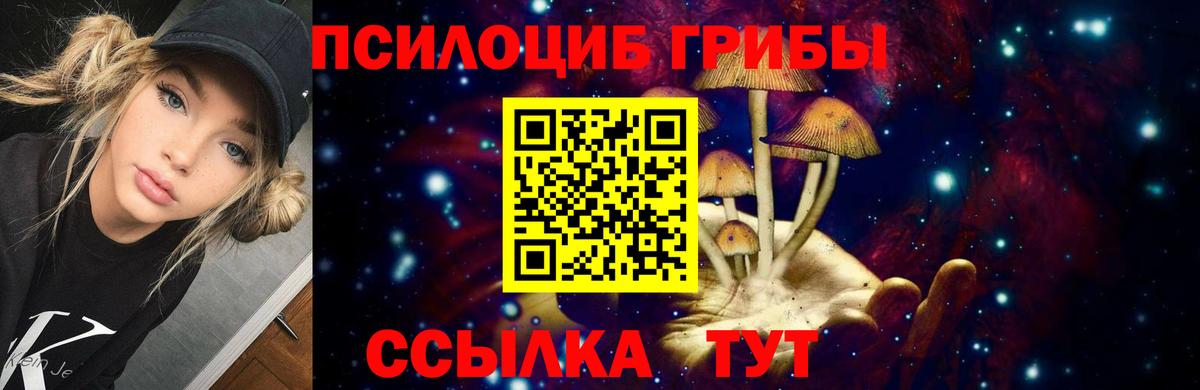 Алейск  Галлюциногенные грибы мицелий  цены   Вход с VPN 